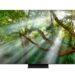 Reasons to enjoy being home with Samsung QLED TVs