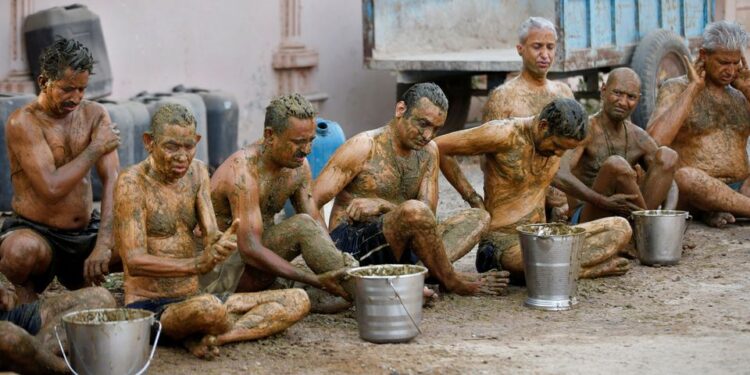 India: Cow dung not COVID-19 cure – Doctors warn