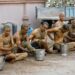 India: Cow dung not COVID-19 cure – Doctors warn