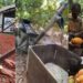 The competition in cocoa farming is now real – Sammi Awuku on China growing cash crop