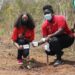 Vodafone Ghana plants 4,000 trees throughout the month of June