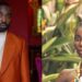 Historical! Meet the first two Ghanaians ever to be nominated at the Emmy Awards