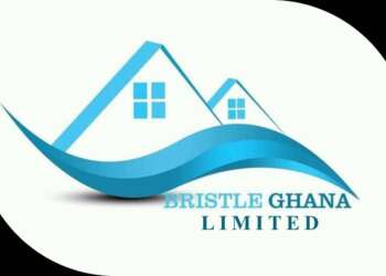 Bristle Ghana Foundation Launches Early Parenthood Control Program