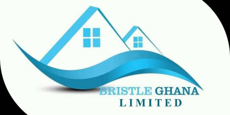 Bristle Ghana Foundation Launches Early Parenthood Control Program