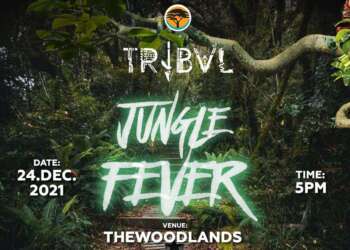 *COVID-19 has created anticipation for 2021 Christmas – Tribvl