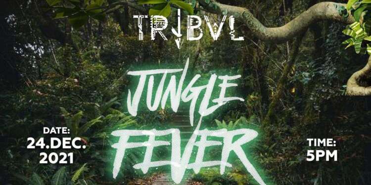 *COVID-19 has created anticipation for 2021 Christmas – Tribvl