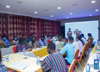 UNDP holds strategic communication training for 30 MSME