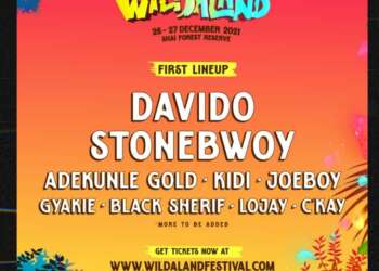 #YHolidayHavoc: WILDALAND brings Davido, Stonebwoy, R2Bees and over 20 top acts to Africa’s “Glastonbury”
