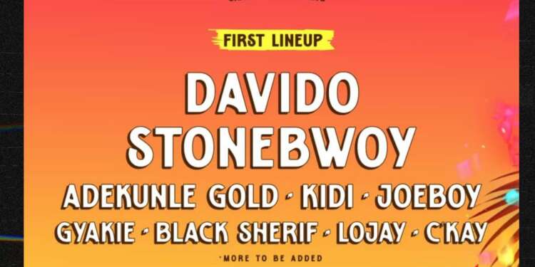 #YHolidayHavoc: WILDALAND brings Davido, Stonebwoy, R2Bees and over 20 top acts to Africa’s “Glastonbury”