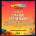 #YHolidayHavoc: WILDALAND brings Davido, Stonebwoy, R2Bees and over 20 top acts to Africa’s “Glastonbury”