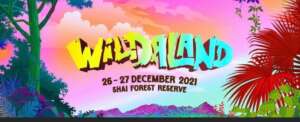 #YHolidayHavoc: WILDALAND brings Davido, Stonebwoy, R2Bees and over 20 top acts to Africa’s “Glastonbury”