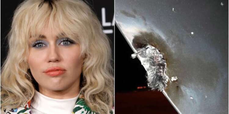 Miley Cyrus cancels festival appearance after jet is hit by lightning