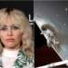 Miley Cyrus cancels festival appearance after jet is hit by lightning