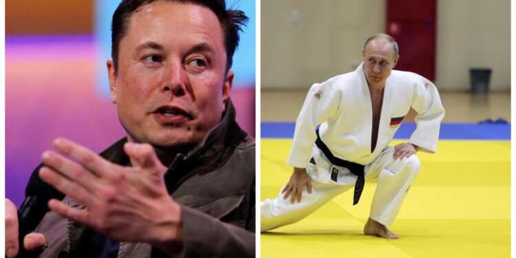 Elon Musk challenges Vladimir Putin to a fight