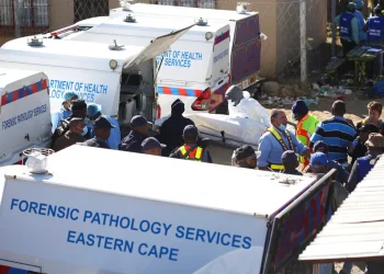 South African Police investigate nightclub deaths
