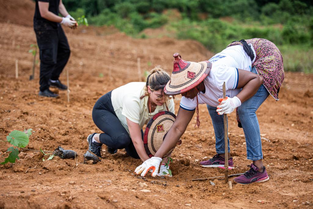 Responsib’all Day: Pernod Ricard Ghana restores degraded mined land, plants 2,400 trees