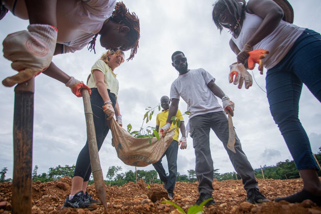 Responsib’all Day: Pernod Ricard Ghana restores degraded mined land, plants 2,400 trees