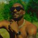 Collaborations are making African artistes popular in the Caribbean - Barbadian artist