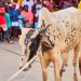 SalahFest22: Fadama Zongo takes home cow and Ghc20,000 prize pot*