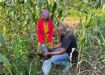 I am operating a farm in the Volta Region- John Dumelo rubbishes death claims