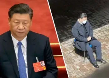 Xi Jinping arrested?! How to spot 'Fake News'
