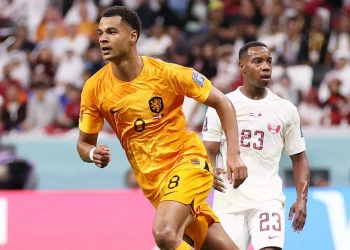 #WorldCupOnY: In-form Gakpo shines as Netherlands put two pass Qatar