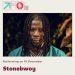 Stonebwoy set to thrill fans at FIFA Fan Festival in Doha