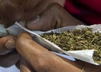 Passage of Narcotics Bill doesn’t mean we'd be smoking ‘wee’ on the streets - NACOC warns