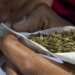 Passage of Narcotics Bill doesn’t mean we'd be smoking ‘wee’ on the streets - NACOC warns