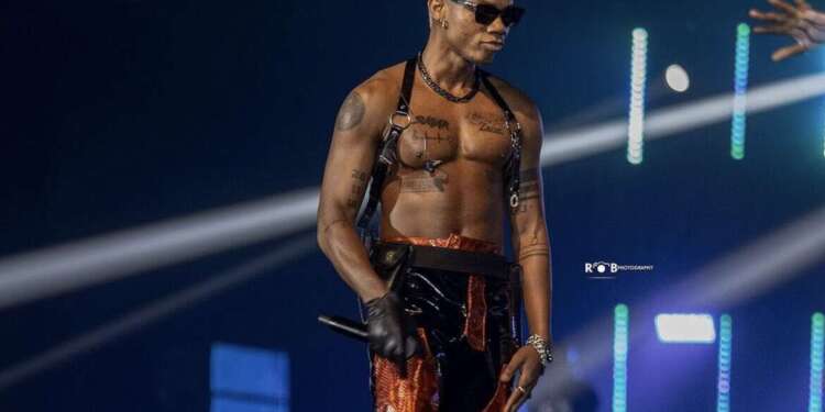 Don't fish for shortcomings at concerts; have fun - Kidi to concert attendees