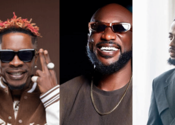 Shatta Wale, Kwabena Kwabena and Nektunez doubt PlayGhana agenda