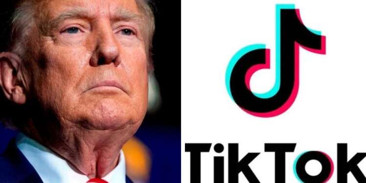 Donald Trump joins TikTok and rapidly gains three million followers