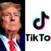 Donald Trump joins TikTok and rapidly gains three million followers