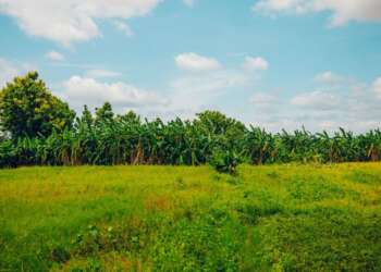 Towards a Sustainable Future: How some KIC start-ups are championing eco-friendly innovations