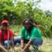 Telecel Ghana Employee Volunteers Plants Over 5000 Trees in Massive Reforestation Effort