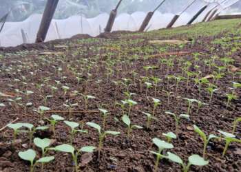 School Farm Competition commences with trainings and school monitoring visits