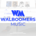 Walboomers Music and Phoenix Entertainment LLC announce strategic collaboration to empower emerging Afro artists