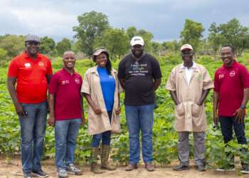Seeds of Change: How Absa Young Africa Works is Transforming Farming in Ghana