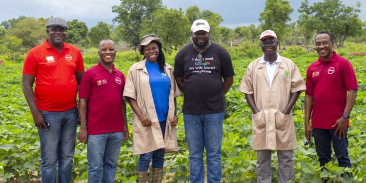Seeds of Change: How Absa Young Africa Works is Transforming Farming in Ghana