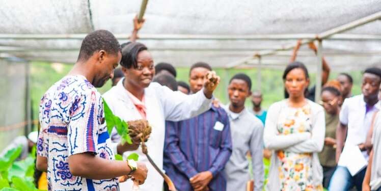 KIC and Mastercard Foundation promote agripreneurship with Market Research Tours