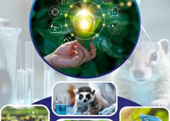 PHG Foundation & Consultancy Partners Presents Sustainable Solution to Galamsey Menace