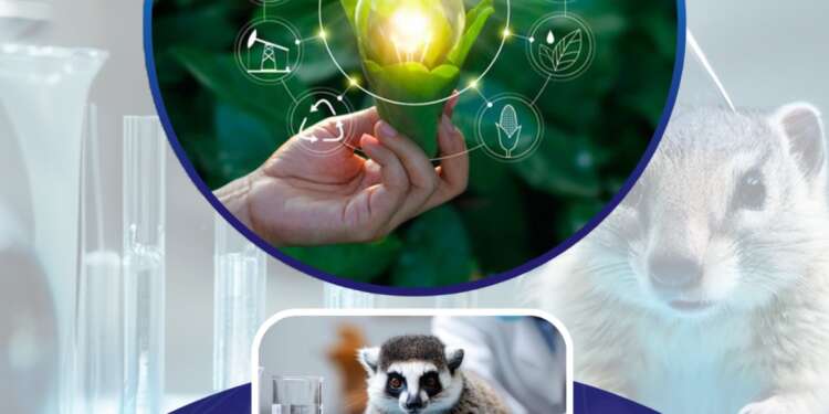 PHG Foundation & Consultancy Partners Presents Sustainable Solution to Galamsey Menace