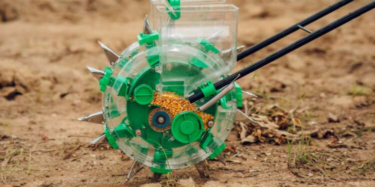 Ensuring the Right to Food: the role of agricultural innovation