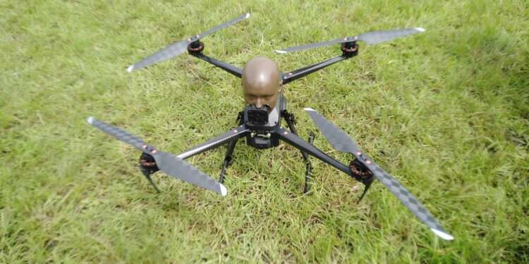 How AiScarecrow Technologies supports cereal farmers with crop protection