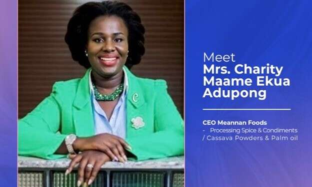 Promoting food security and empowering women in agribusiness: Charity M.E Adupong’s vision with Meannan Foods