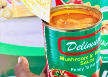 DeliMush: Growing More Than Mushrooms — A KIC-Funded Business Creating Jobs and Empowering Women