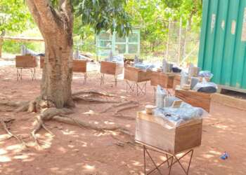 KIC and the Mastercard Foundation train and equip female agripreneurs in beekeeping