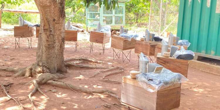 KIC and the Mastercard Foundation train and equip female agripreneurs in beekeeping