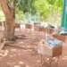 KIC and the Mastercard Foundation train and equip female agripreneurs in beekeeping