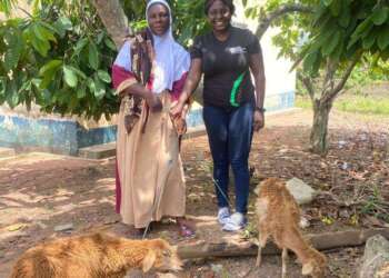 KIC Women’s Bootcamp trains women in livestock production